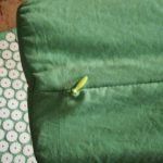 Dorsalla Acupuncture Mat with Pillow™ photo review