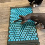 Dorsalla Acupuncture Mat with Pillow™ photo review