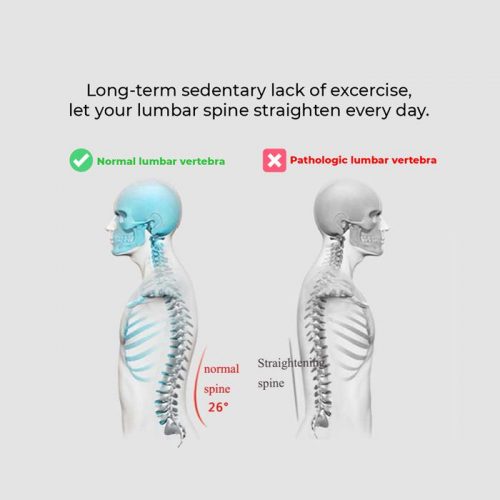 Dorsalla_Lumbar_Stretcher_Vertebra_new.jpg Dorsalla_Lumbar_Stretcher_Vertebra_new.jpg