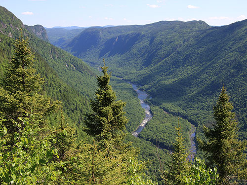 jacques_cartier_500