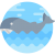 whale